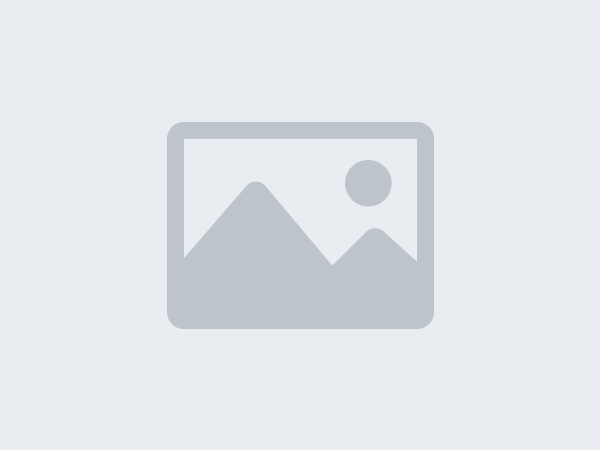 Tax Incentives for Foreign Particular Professionals